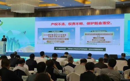 自然資源部:全國近百個重點區域自然資源確權登記完成登簿